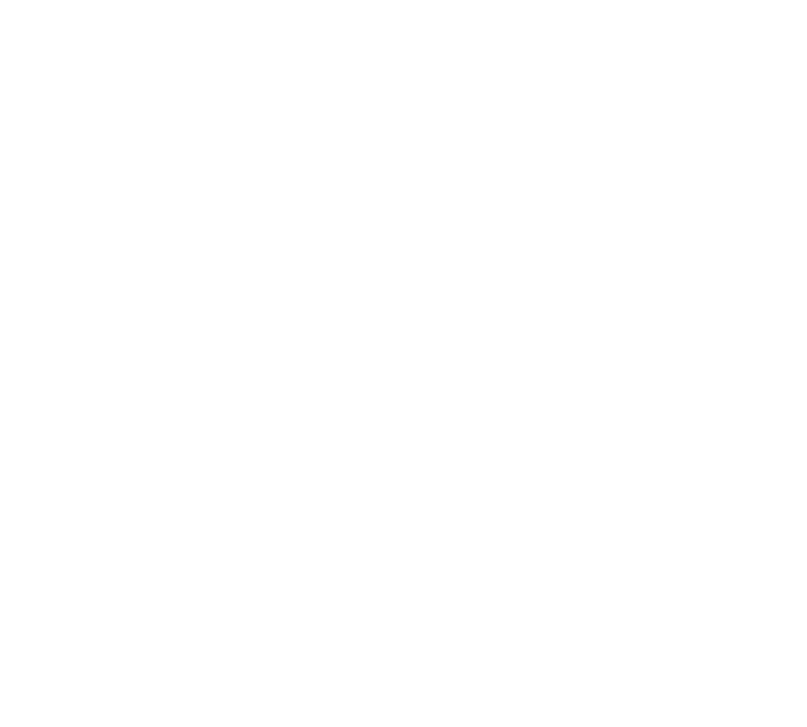 Escursioni Team Shark
