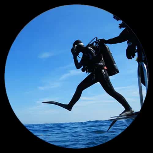 Servizi sub e diving